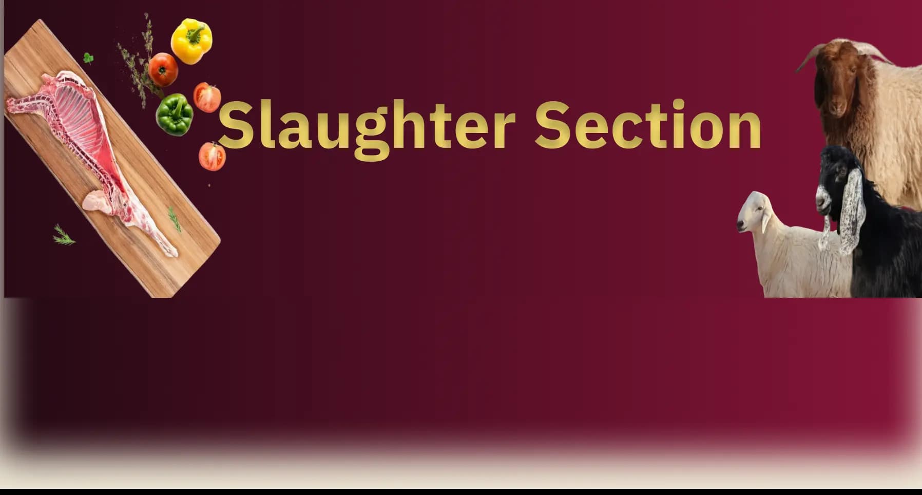 Container section background